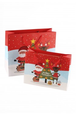 Пакет новогодний 14