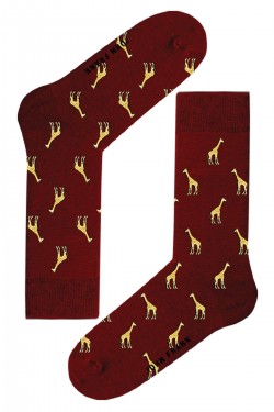 Носки мужские John Frank JFLSCOOL52