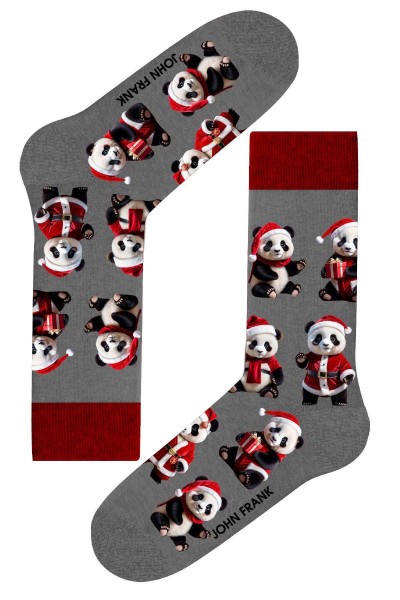 Носки мужские John Frank JFLSFUN-CH48