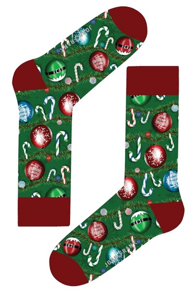 Носки мужские John Frank JFLSFUN-CH16