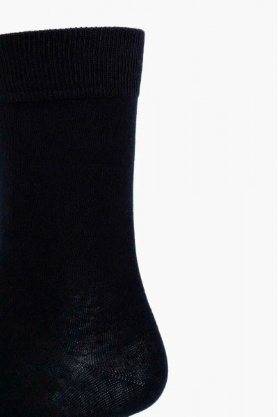 Носки мужские Sergio Dallini SGS013-235 (3п.)